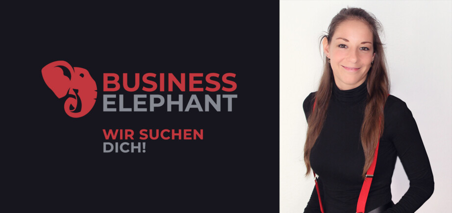 Business Elephant sucht dich